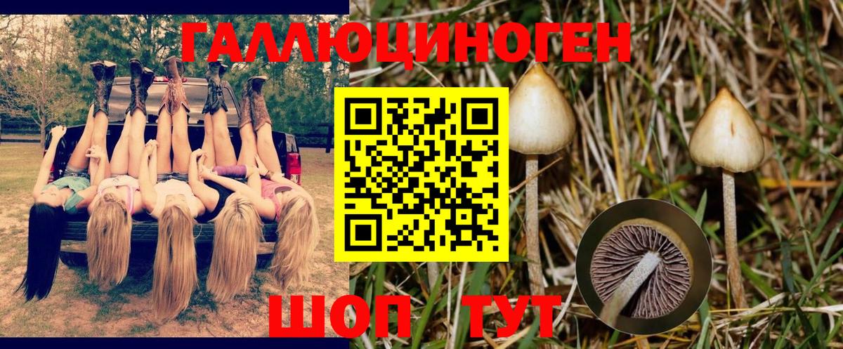 Галлюциногенные грибы прущие грибы  Вход с VPN  Назарово 