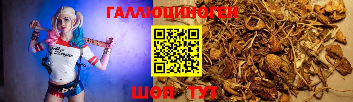 Галлюциногенные грибы ЛСД Назарово